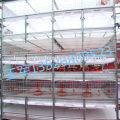 high-standard Q235 steel wire Material battery cage for growing broiler